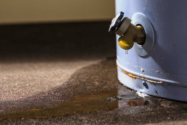 Best Water damage contractors near me  in Remsenburg Speonk, NY