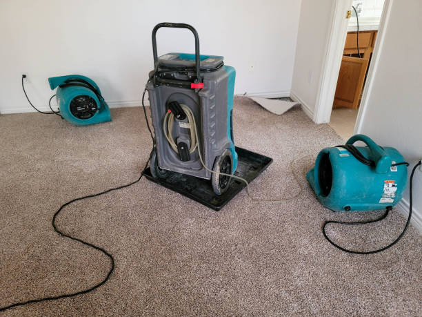 Best Ceiling water damage repair  in Remsenburg Speonk, NY