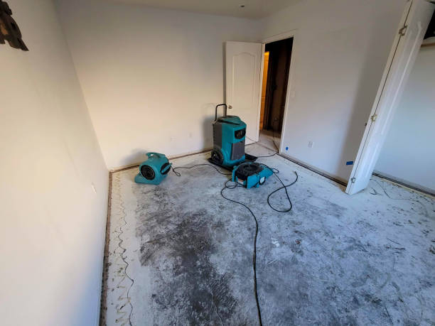 Best Residential water damage restoration  in Remsenburg Speonk, NY
