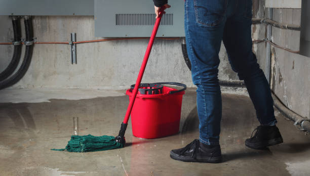 Best Professional water damage repair  in Remsenburg Speonk, NY
