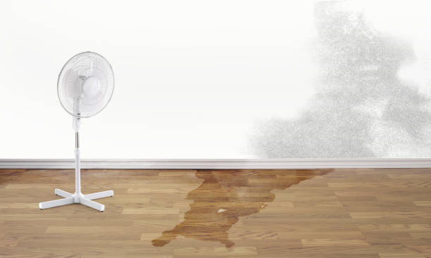  Remsenburg Speonk, NY Water damage restoration Pros