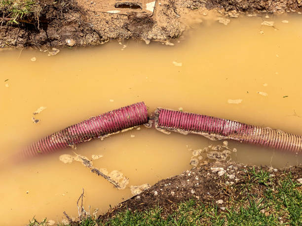 Best Sewage cleanup and water damage restoration  in Remsenburg Speonk, NY