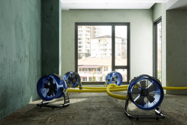 Best 24-hour water damage restoration  in Remsenburg Speonk, NY