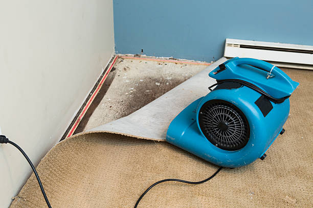 Best Basement water damage restoration  in Remsenburg Speonk, NY